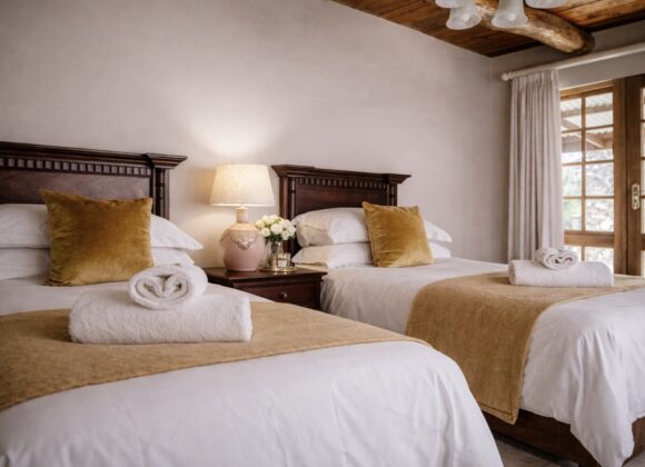 Luxury Family Suites